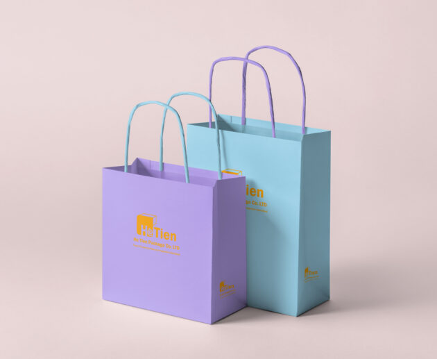 Paper Bag with Twisted Handle 1-1