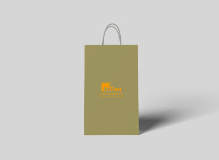 Paper Bag with Twisted Handle 3-1