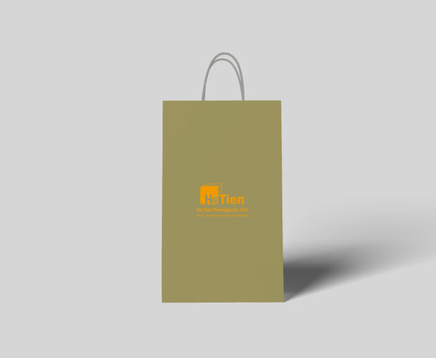 Paper Bag with Twisted Handle 3-1